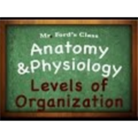 Introduction Anatomy Physiology (01:03): Levels of Organization icon