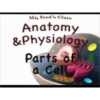 The Human Cell (03:03): Introduction and Parts of a Cell icon