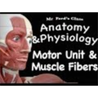 The Muscular System : Motor Unit and Muscle Fibers (09:03) icon