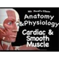The Muscular System : Cardiac and Smooth Muscle (09:04) icon