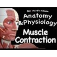 The Muscular System : Types of Muscle Contraction (09:07)