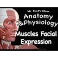 The Muscular System : Muscles of Facial Expression (09:09) icon