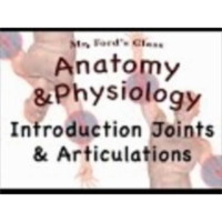 Joints and Articulations : Introduction to Joints and Articulations (08:01) icon