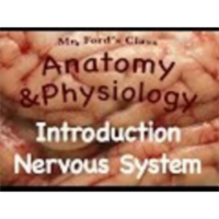 The Nervous System : Introduction (10:01) icon