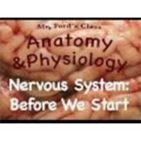 The Nervous System : Before We Start (10:08) icon