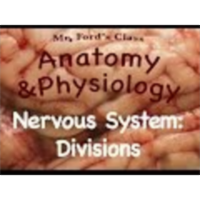 The Nervous System : Divisions of the Nervous System (10:09) icon
