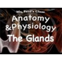 The Endocrine System : Glands of the Endocrine System (12:03) icon