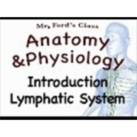 The Lymphatic System : Introduction (15:01) icon