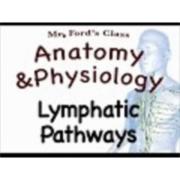 The Lymphatic System : Lymphatic Pathways (15:02)