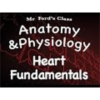 The Cardiovascular System : Heart Fundamentals (14:01) icon