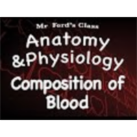 The Cardiovascular System : Composition of Blood (13:02) icon