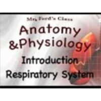The Respiratory System : Introduction Respiratory System (16:01) icon
