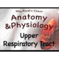 The Respiratory System : Upper Respiratory Tract (16:02) icon
