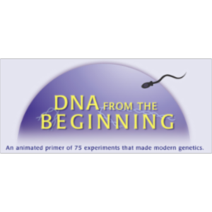 DNA from the Beginning icon