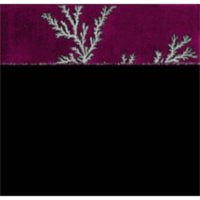 Center for Polymer Studies Resource Center