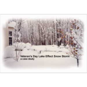 Case Study:  Snow Storm icon