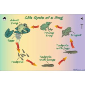 A Life Cycle App for iOS icon