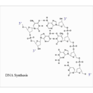 DNA Replication icon