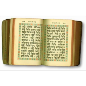 The Sikhism Home Page