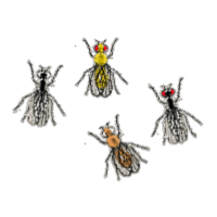 The Biology Project: Mendelian Genetics icon