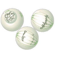 The Biology Project: Cell Biology icon