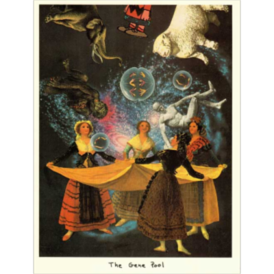 Introduction to Physical Anthropology icon