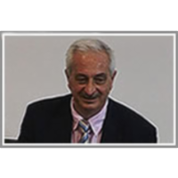 Self-Organization and Finite Size Effects in Agent Models for Financial Markets icon