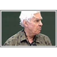 The Mathematics of Emergence and Flocking