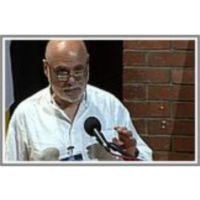 A Paradigmatic Complex System: The Immune System