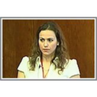 Collective Semantics: Collective Intelligence & the Semantic Web - Semantically enriching folksonomies with flor icon