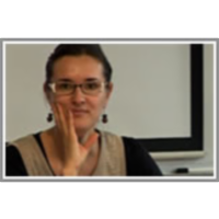 European Citizenship: The Roma Issue icon