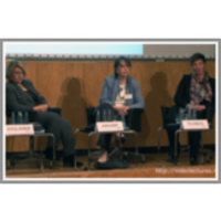 Discussion Panel: Maximising Innovation Potential Through Diversity in Research Organisations