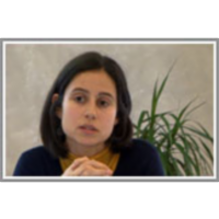 The use of OER in Higher Education Institutions: a study in Portugal and Mozambique icon