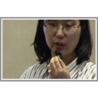 Web Content Mining with Human Language Technologies: Mining and Assessing Discussions on the Web through Speech Act Analysis icon