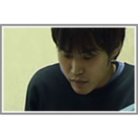 Web Content Mining with Human Language Technologies: Constructing Dictionaries for Named Entity Recognition on Specific Domains from the Web icon