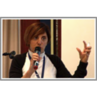 Wiki-based conceptual modeling: an experience with the Public Administration icon