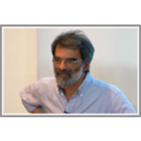 Self-organizing non-Euclidean representations in the brain