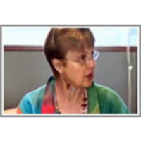 Scenario 1: Municipal Decision Making - The Public Will and Representative Democracy icon