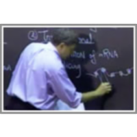 Lecture 13: Gene Regulation icon