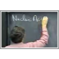 Lecture 3: Biochemistry II icon