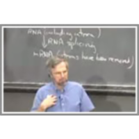 Lecture 27: Recombinant DNA III (cont.) - Immunology I icon