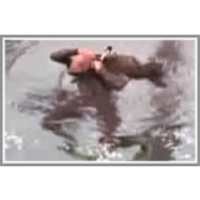 Overhead don of the BC in the water, demonstrating control at the end icon
