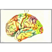 The Changing Brain icon