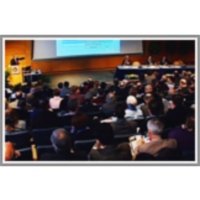 Perspectives on Engineering icon