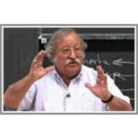 Distributed Leadership in the Obama Campaign icon