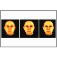 Vision: Challenges and Prospects icon