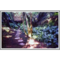 Overview of mine water classification and its genesis, with case study examples of management icon