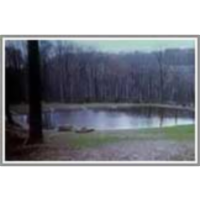 Passive Treatment of AMD with a case study in Ireland icon