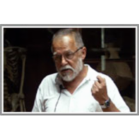 Brez metuljev ni pravega sončnega dne icon