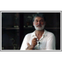 Nerazumljeni polh icon